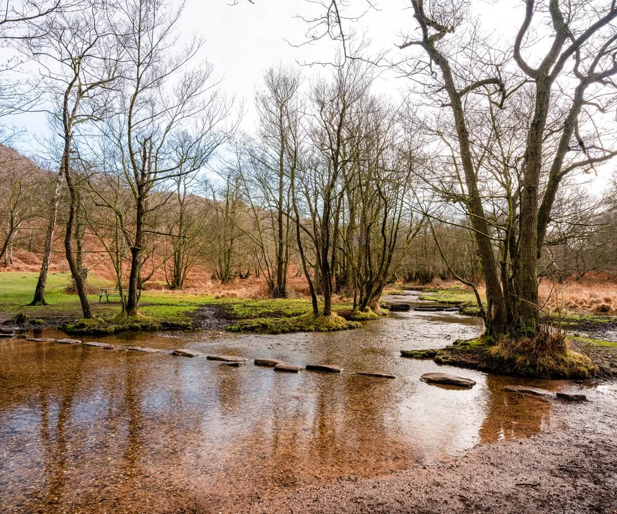 cannock chase