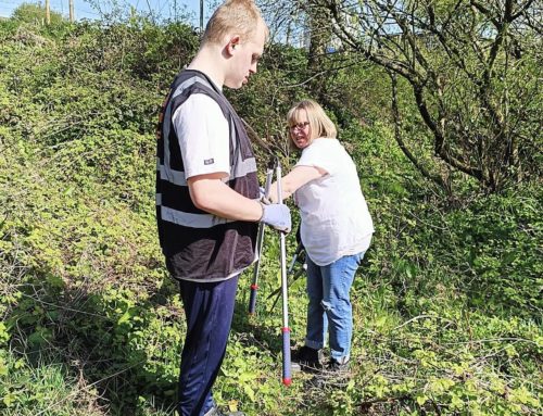 Regent College DofE Success