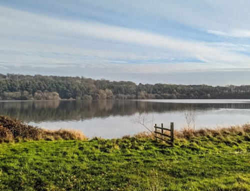 A hidden gem in Staffs