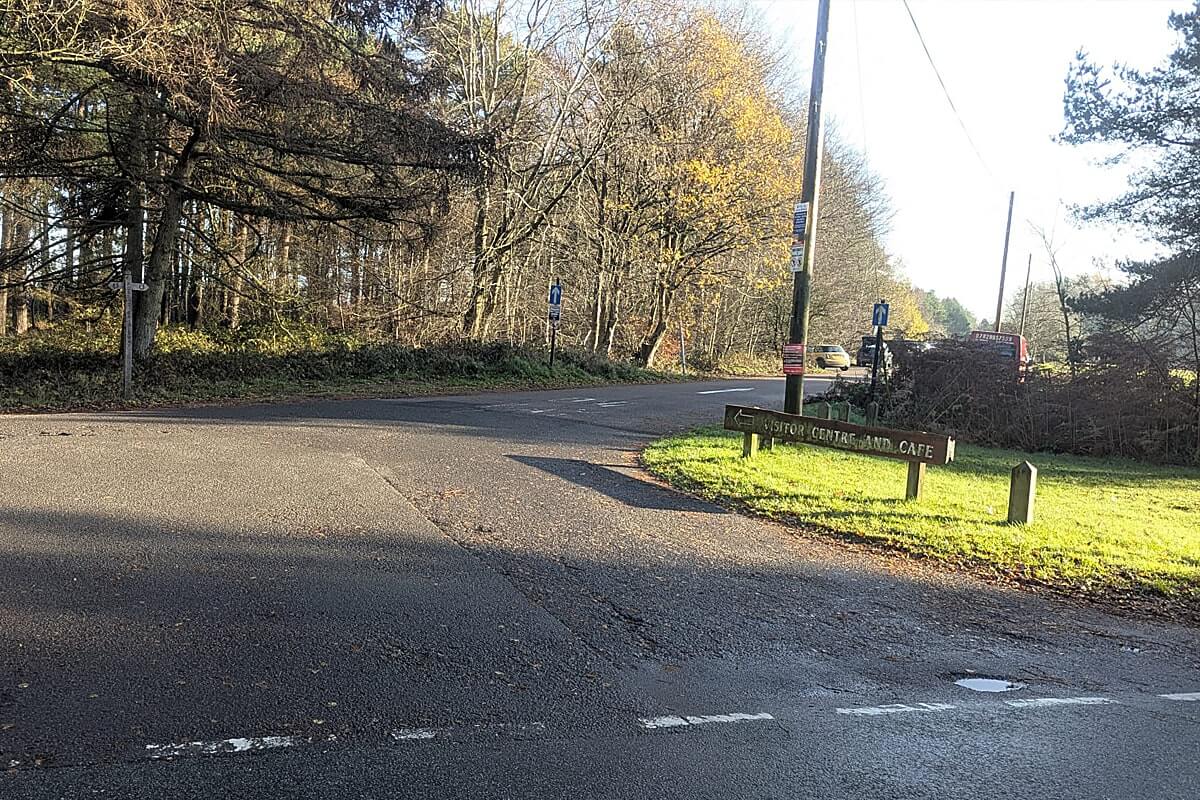 cannock chase winter wander