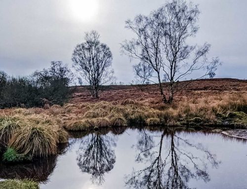 The Heart of England Way