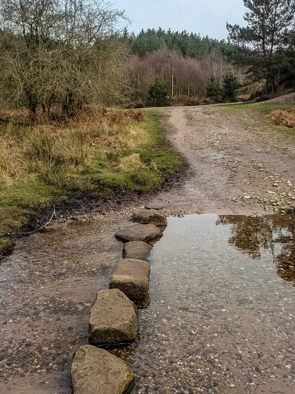 stepping stones heart of england way