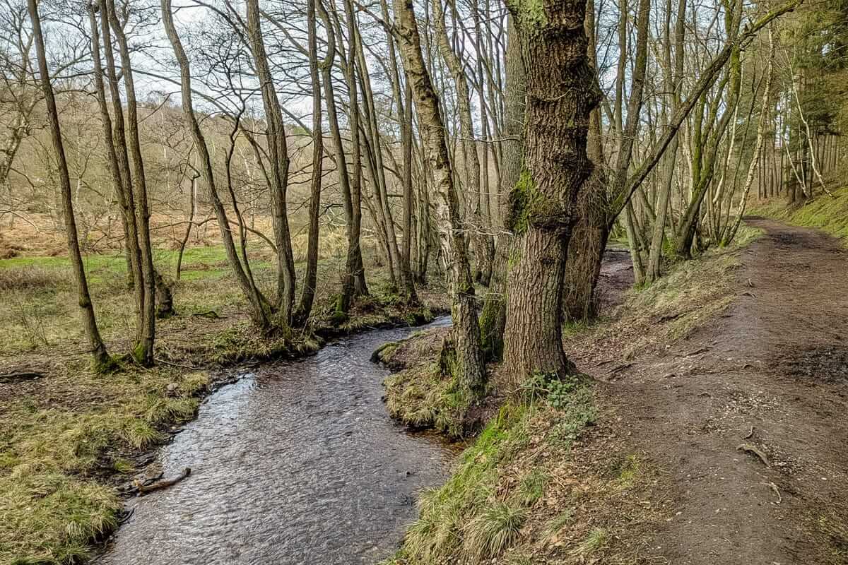woodland stream heart of england way heart of england way