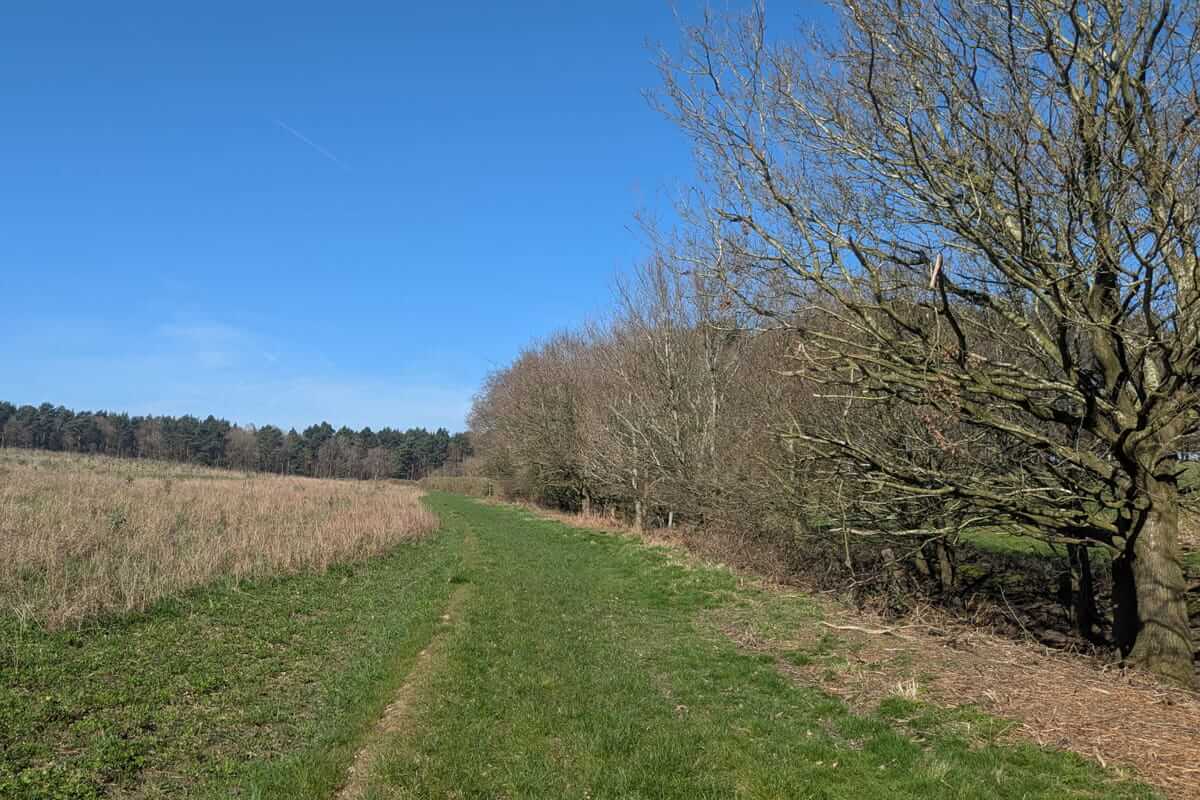 field path classic english countryside walk
