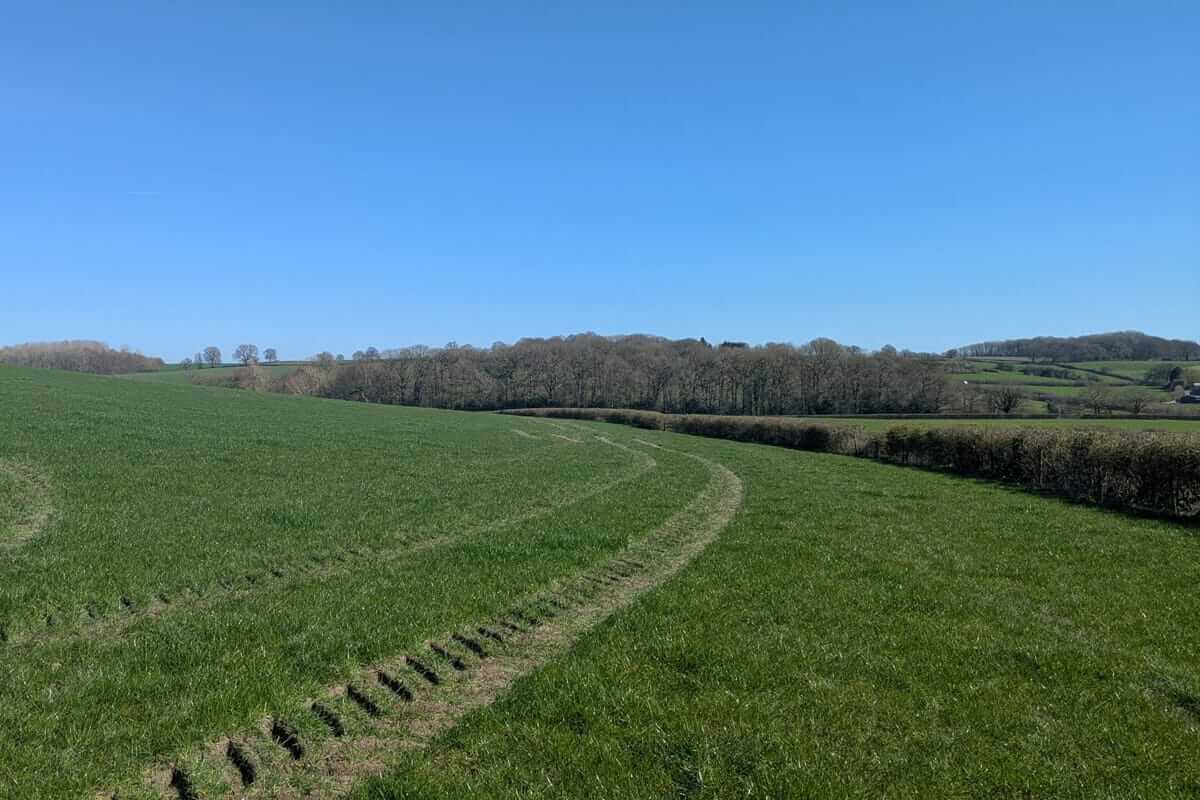 green field classic english countryside walk