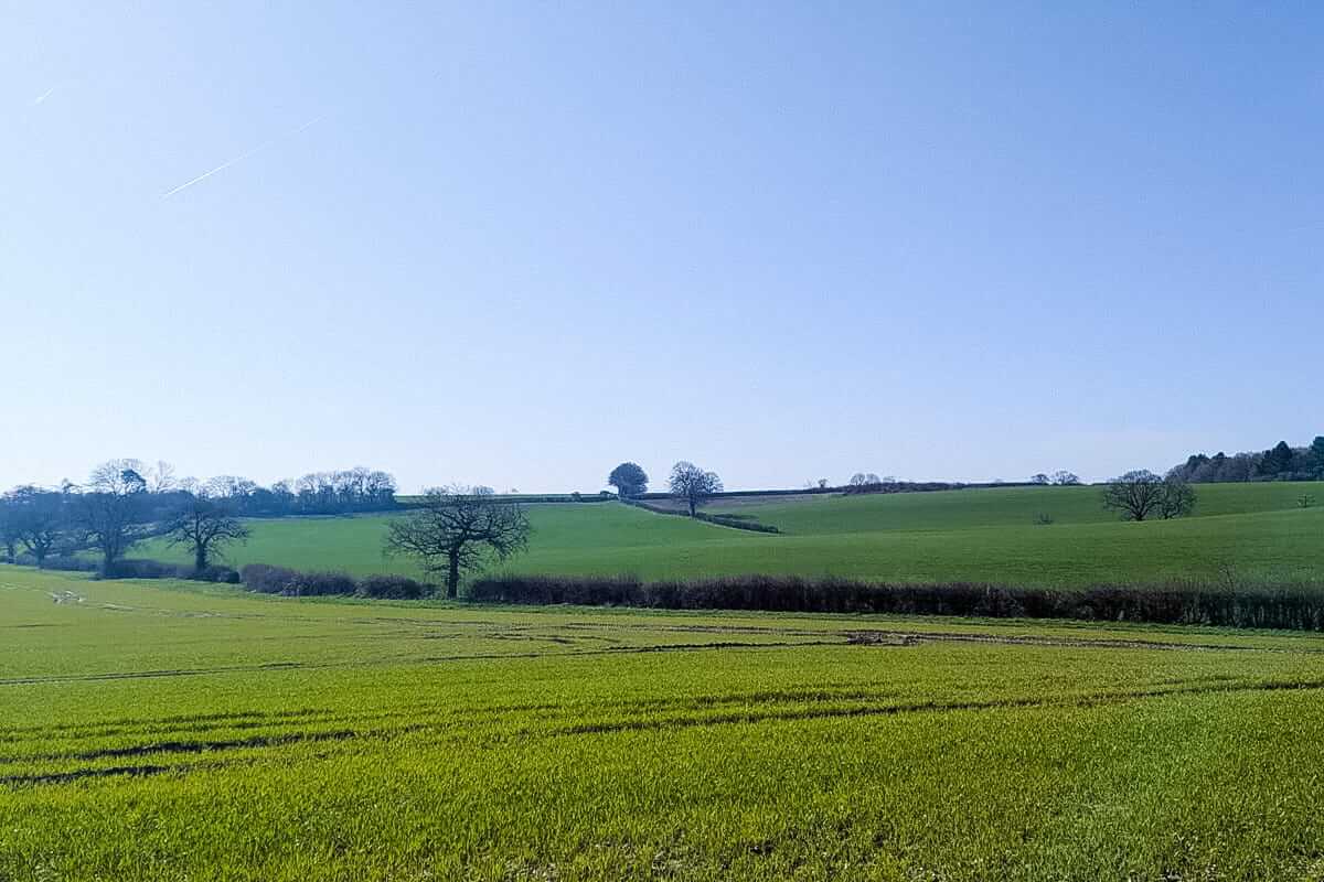 green fields spring countryside walk