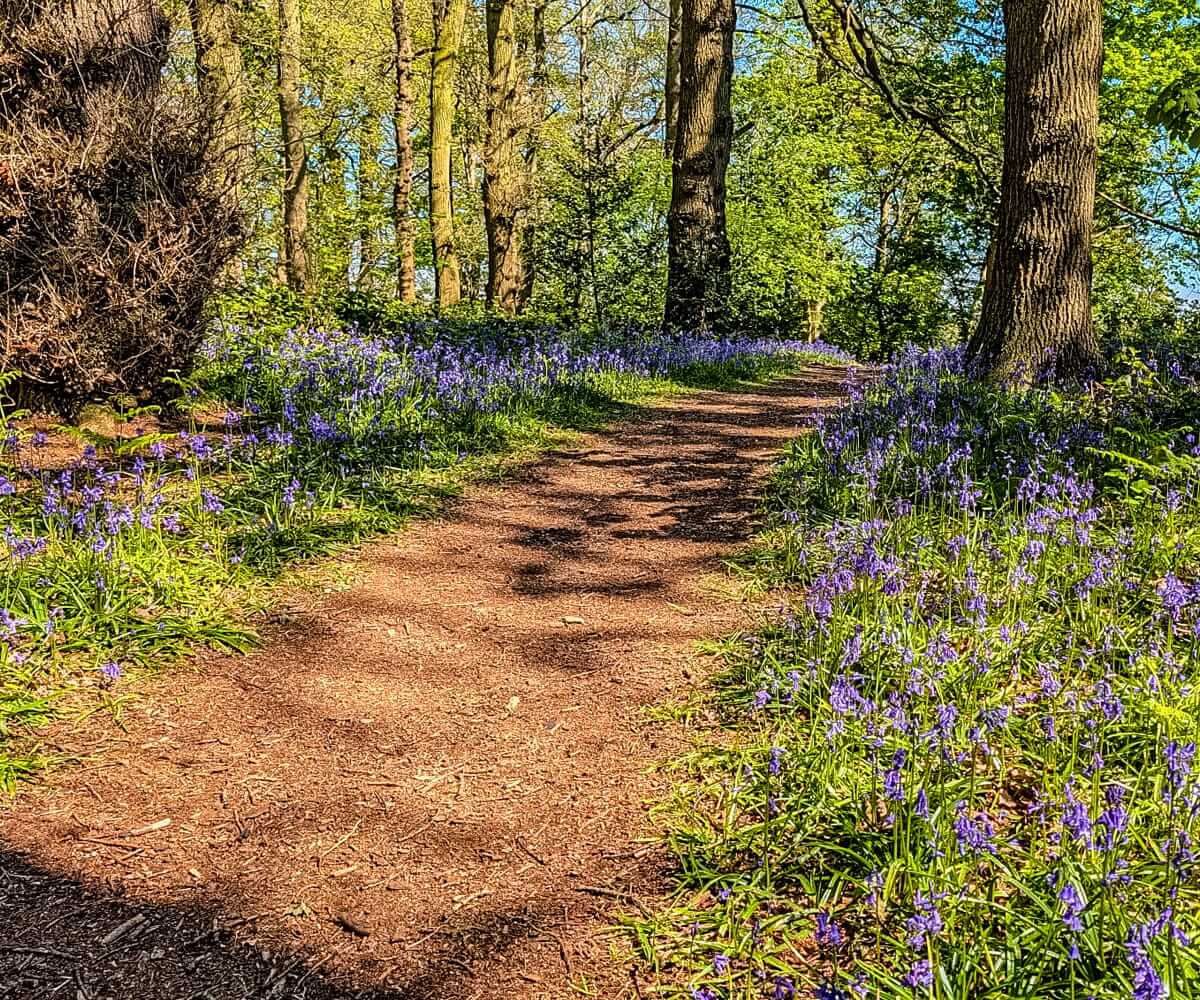 blithfield walks