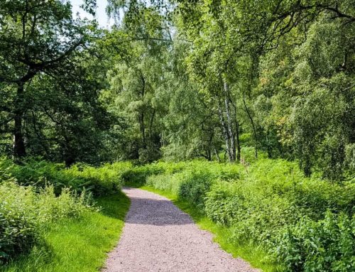 A midsummer meander
