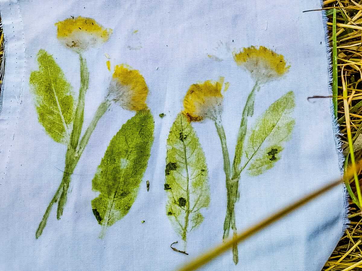 Nature Therapy Workshop 2