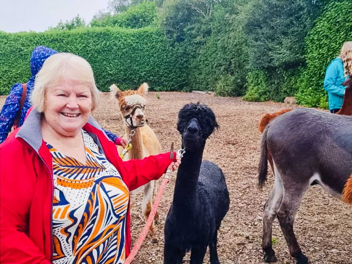 Wetley Moor Alpacas Sanctuary 1