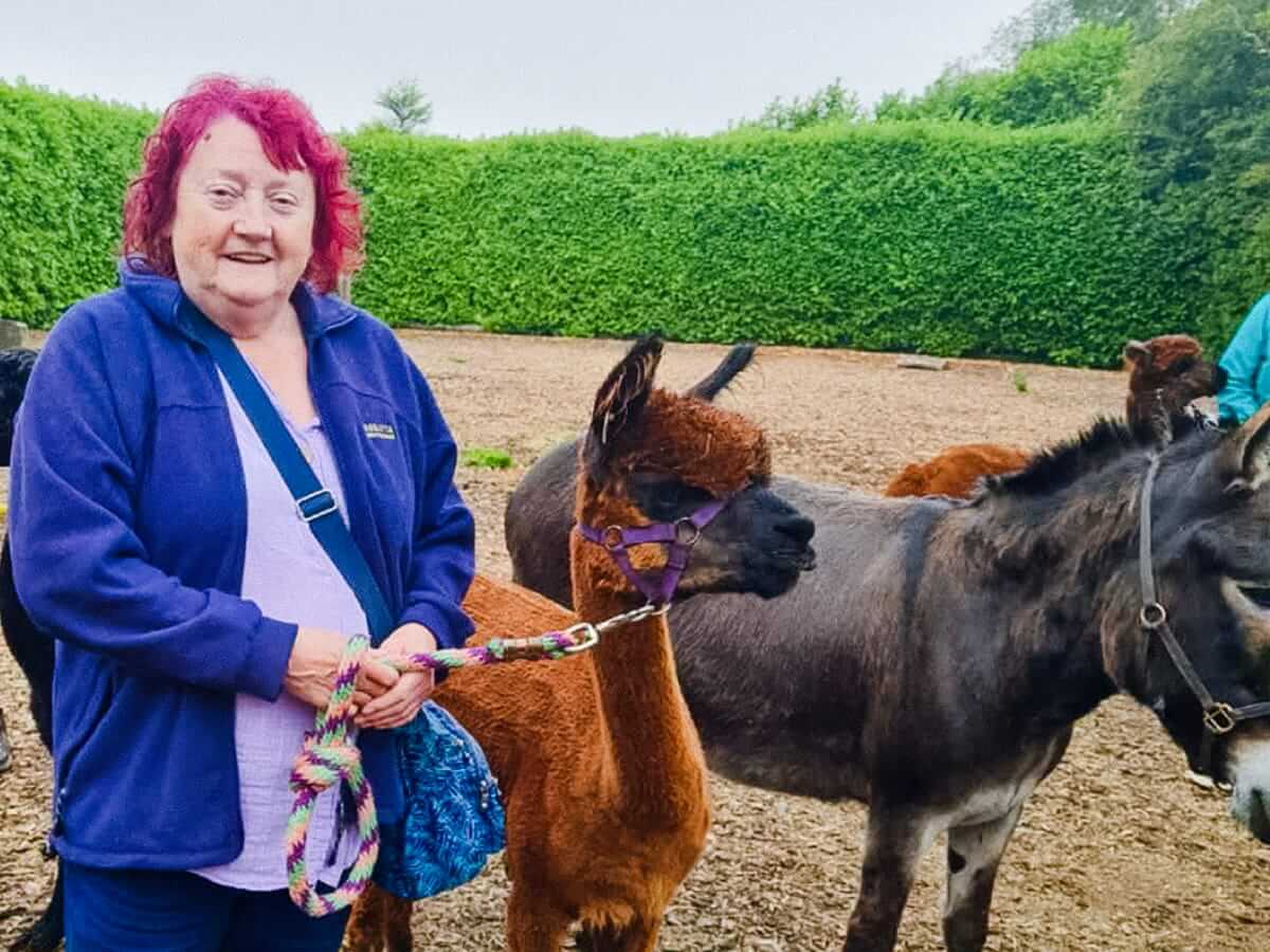 Wetley Moor Alpacas Sanctuary 2