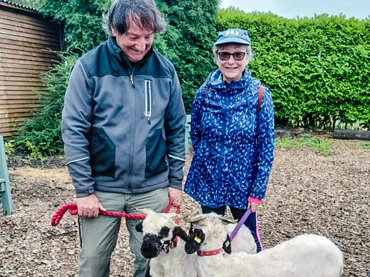 Wetley Moor Alpacas Sanctuary 4