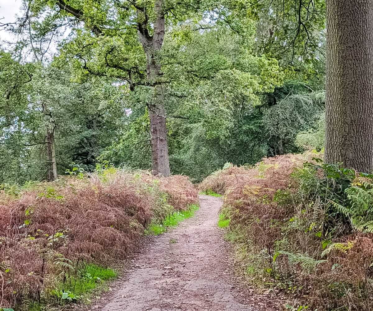 gentle paths